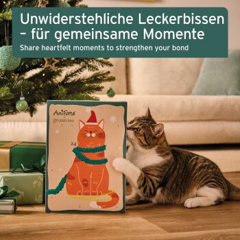 AniForte Adventskalender für Katzen 2026, Bild 2 von 2