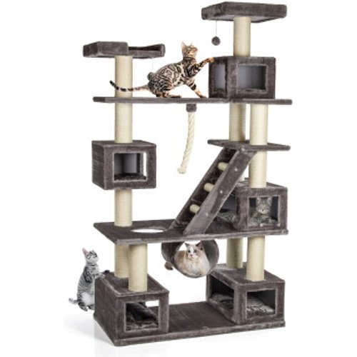 Canadian Cat Company Logan, Bild 1 von 2
