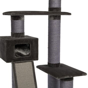 Canadian Cat Company Maine Coon 209, Bild 3 von 3