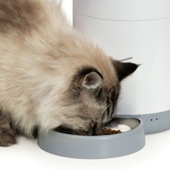 Catit PIXI Smart, Bild 3 von 3