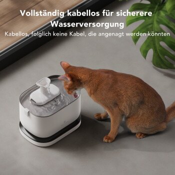 Petlibro Dockstream kabellos, Bild 2 von 2