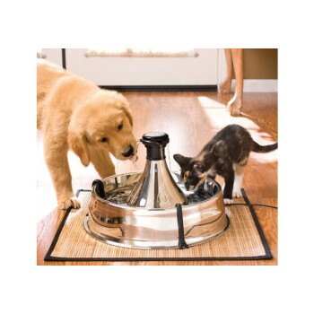 PetSafe Drinkwell Edelstahl 3,8 l, Bild 2 von 2