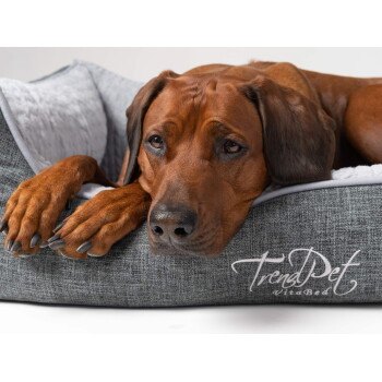 TrendPet VitaBed Classic, Bild 3 von 3