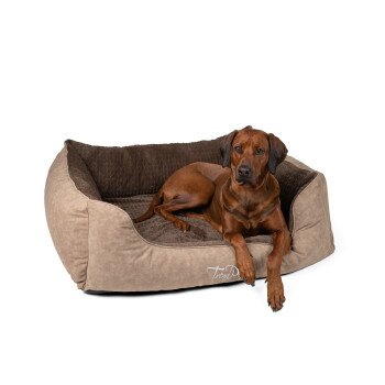 TrendPet VitaBed Style, Bild 3 von 3